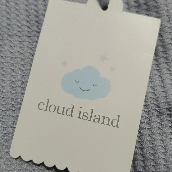 NWT Cloud Island Baby Boy Waffle Pull On Pants 2 PK 24M - Picture 6 of 8